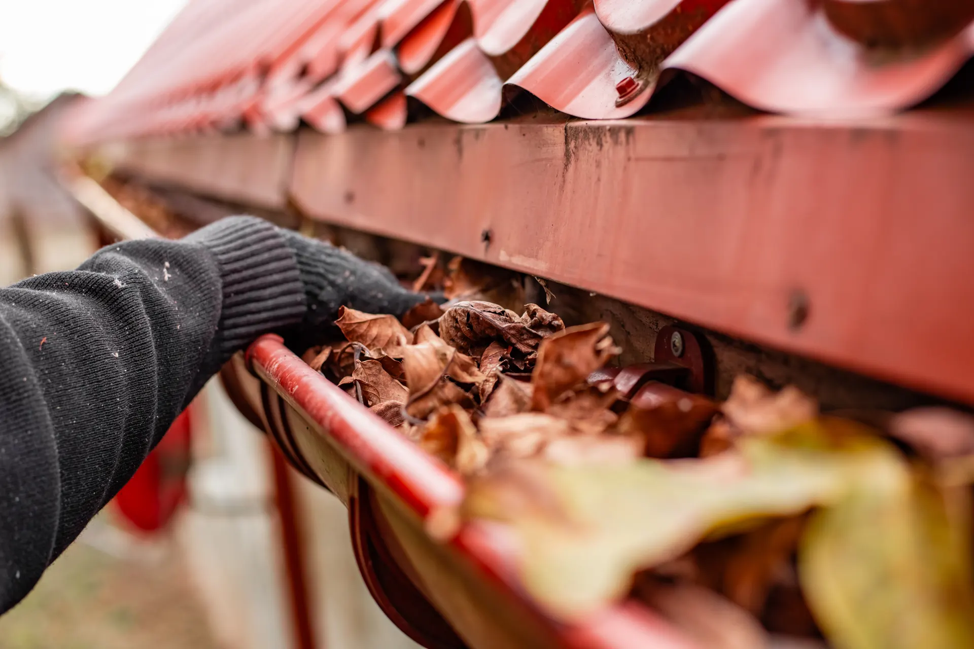 Raptor gutter system guide